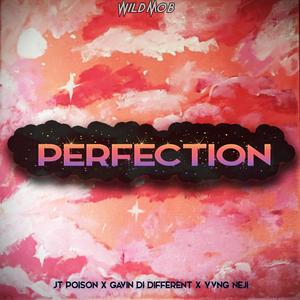 Perfection (feat. JT Poison, Gavin Di Different & Mikah HearrtFacee) [Explicit]