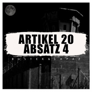 Artikel 20 Absatz 4 (Explicit)