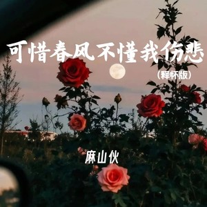 可惜春风不懂我伤悲-麻山伙