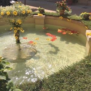 jesus bled，pain is red (instrumental)