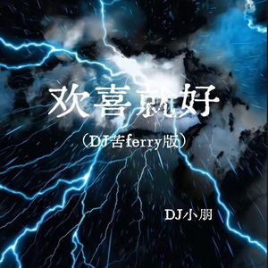 DJ小朋 - 欢喜就好 (DJ苦ferry版)