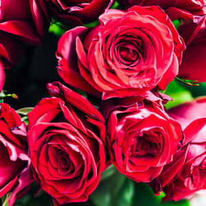 I Love You But I Dont Like You