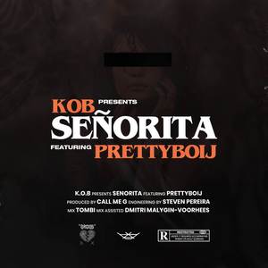 Senorita (Explicit)