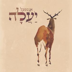 יונת רחוקים