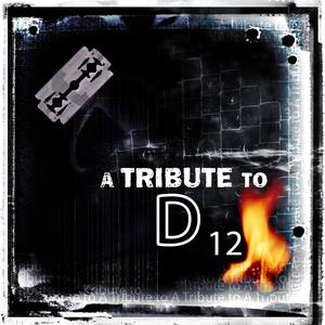 A Tribute To D 12
