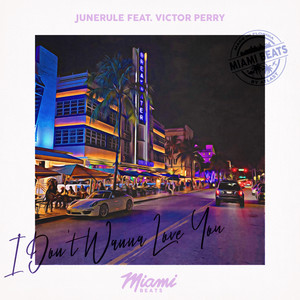 I Don't Wanna Love You (Original Mix)