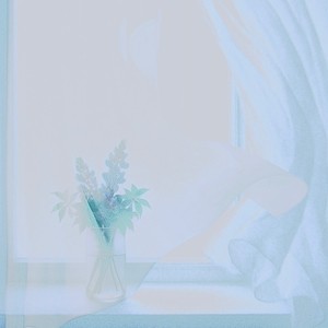 さよなら、Lupinus