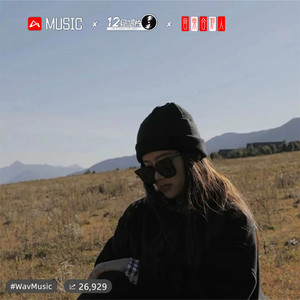 胡晓松 - 凤凰花开的路口