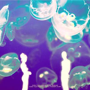 Nada de esto va a suceder (Explicit)