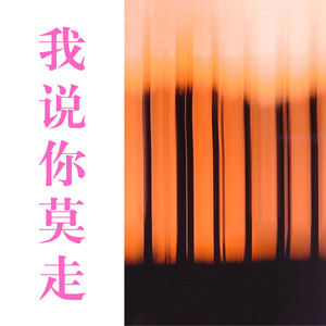 祁傲 - 想你一人太难过 (DJ版)