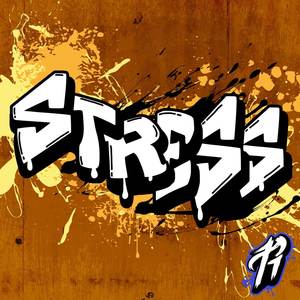 Stress (Metal Cover)