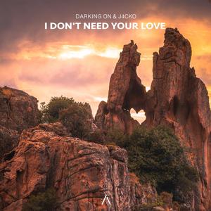 I Don't Need Your Love