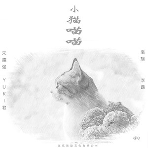 小猫喵喵