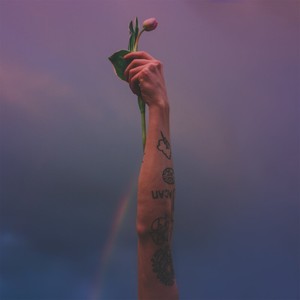 Тюльпаны (Explicit)