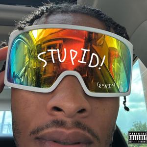 Stupid (Remix|Explicit)