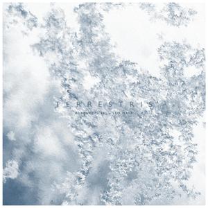 III. Haliaeetus (feat. Leo Mayr)