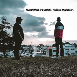 Como Olvidar (feat. SOJE) (Explicit)