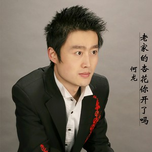 老家的杏花你开了吗