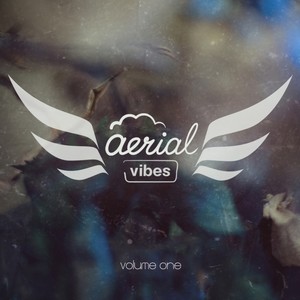 Aerial Vibes Vol. 1