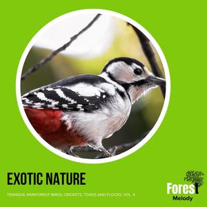 Exotic Nature - Tranquil Rainforest Birds, Crickets, Toads and Flocks, Vol. 4