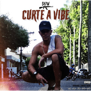 Curte a Vibe (Explicit)