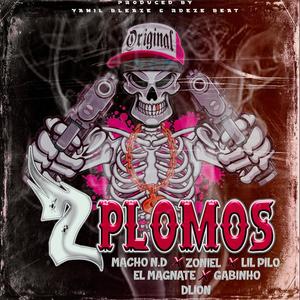 2 PLOMOS (feat. Dlion, Zoniel, Gabinho507, Lil'Pilo & El Magnate) (Explicit)