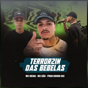 TERRORZIN DAS BEBELAS (Explicit)