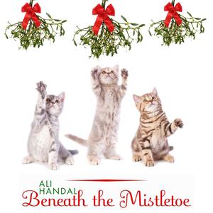 Beneath The Mistletoe (Trad Trio Instrumental Version)