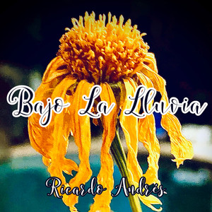 Bajo La Lluvia