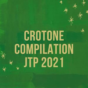 CROTONE COMPILATION JTP 2021 (Explicit)