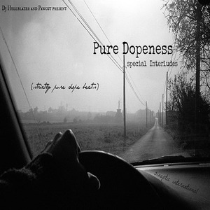 Pure Dopeness (Special Interludes)