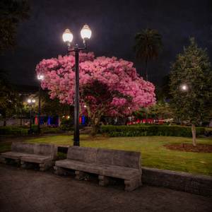 MAL DE AMORES (Explicit)