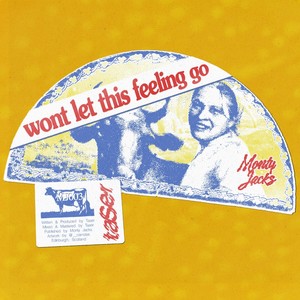 Won't Let This Feeling Go