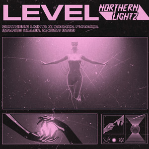 Level (feat. Nation Boss) [Explicit]