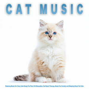 Music For Cats