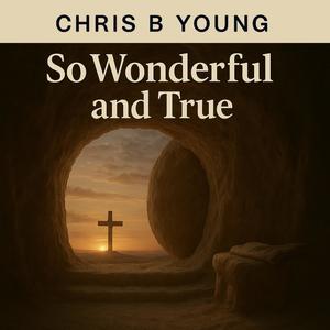 So Wonderful and True (feat. Devin Belle)