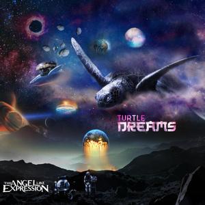 Turtle Dreams (Explicit)