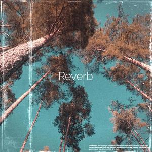 Reverb