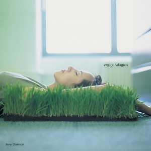 Concerto for Flute and Strings in D Major, Hob. VIIf:D1 - II. Adagio