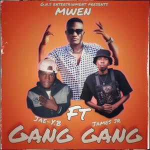 Gang gang (feat. Jae YB,James jr,boy dizo)