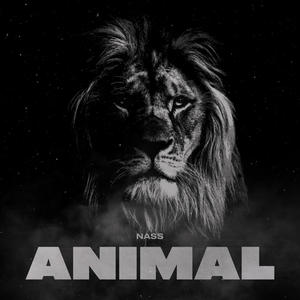 Animal (Explicit)