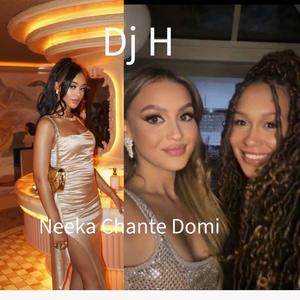 Neeka Chante Domi