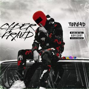 Cyber Fraud (Explicit)