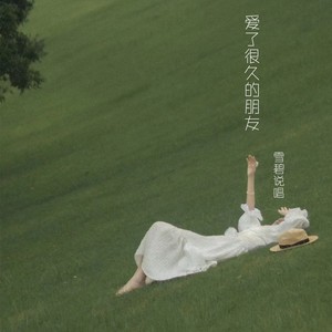 爱了很久的朋友封面