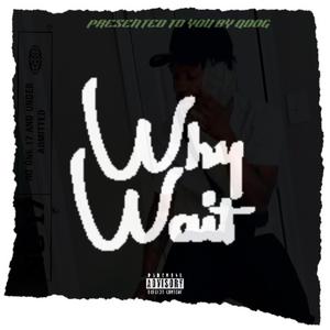 QDOG4L (BIGQ) -WhyWait [Official Audio] ) (Radio Edit)