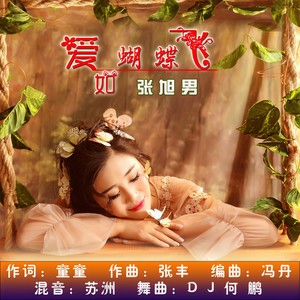 爱如蝴蝶飞 (DJ何鹏 Remix)