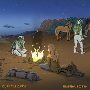 Dusk Till Dawn (feat. SVM)