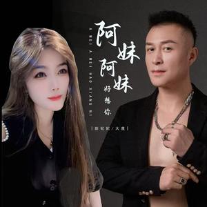 阿妹阿妹好想你 (DJ合唱版)