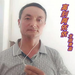 离别两依依