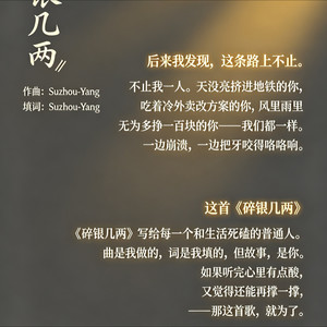 碎银几两封面